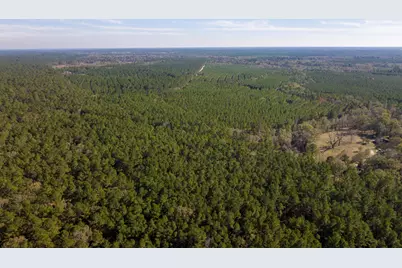 000 Forest Service Road 527, Apple Springs, TX 75926 - Photo 13