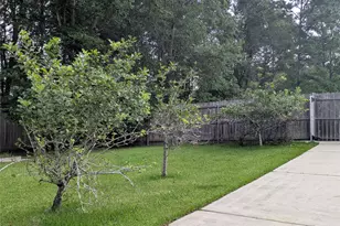 28235 Lazy Rock Dr, Houston, TX 77336 - Photo 29