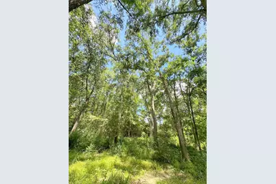 25920 Grand Pines, Magnolia, TX 77355 - Photo 15