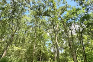 25920 Grand Pines, Magnolia, TX 77355 - Photo 15