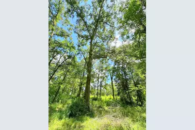 25920 Grand Pines, Magnolia, TX 77355 - Photo 13