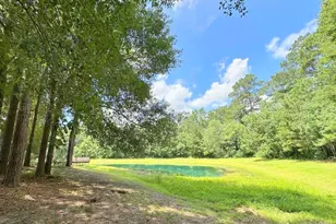 25920 Grand Pines, Magnolia, TX 77355 - Photo 3