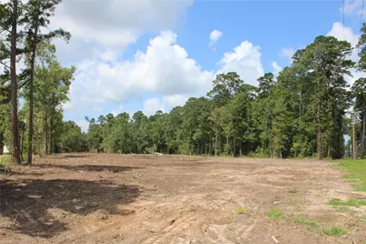 Tbd Highway 150, Coldspring, TX 77331 - Photo 3