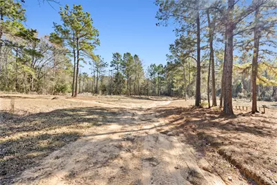 7275 County Road 1830, Crockett, TX 75835 - Photo 3