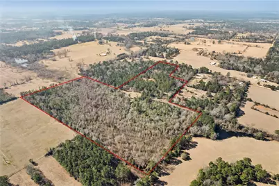 7275 County Road 1830, Crockett, TX 75835 - Photo 7