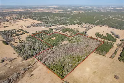 7275 County Road 1830, Crockett, TX 75835 - Photo 9