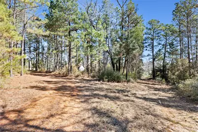 7275 County Road 1830, Crockett, TX 75835 - Photo 23