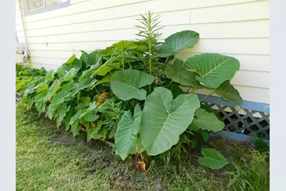 247 Warbler Lane, Livingston, TX 77351 - Photo 31