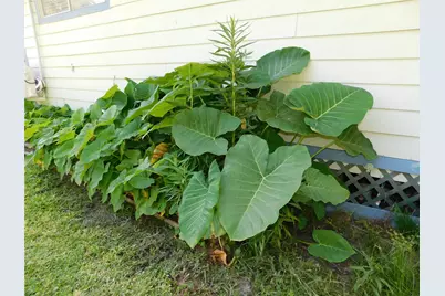 247 Warbler Lane, Livingston, TX 77351 - Photo 31