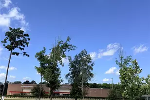 14845 Cypress Holw Dr, New Caney, TX 77357 - Photo 33