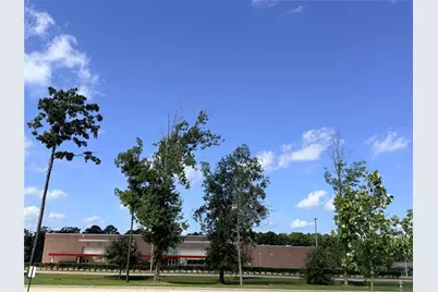 14845 Cypress Hollow Drive, New Caney, TX 77357 - Photo 33