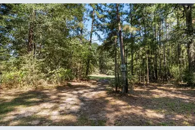 2018 Fm 1486, Montgomery, TX 77316 - Photo 29