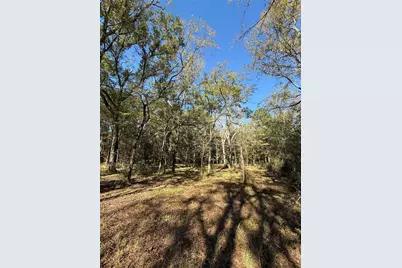 9367 Fm 149 Road, Montgomery, TX 77316 - Photo 3