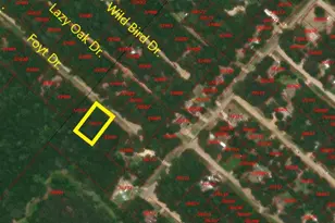 Tbd Foyt Dr, Livingston, TX 77351 - Photo 1