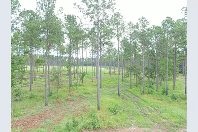 008 Nelson Dr, Livingston, TX 77351 - Photo 7