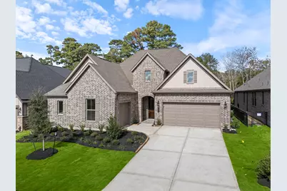 10014 Larkin Cove, Willis, TX 77318 - Photo 29