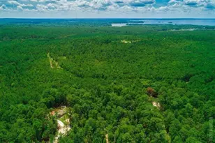 0 Tobacco Rd Rd, Brookeland, TX 75931 - Photo 5