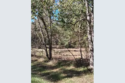 278 County Road 6502 W, Dayton, TX 77535 - Photo 3