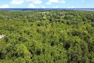 Tbd County Road 4090, Woodville, TX 75979 - Photo 1