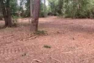 8819 Dowdell Rd, Tomball, TX 77375 - Photo 15