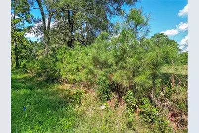 Tbd Fm 3152, Livingston, TX 77351 - Photo 9