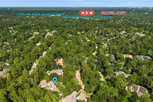 14 Peony Springs Ct, The Woodlands, TX 77382 - Photo 49