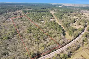 27789 Armadillo Rd, Montgomery, TX 77356 - Photo 49