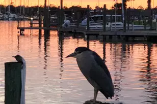 21 Tindel St, Clear Lake Shores, TX 77565 - Photo 11