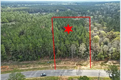 15871 Ridge Oak Road, Willis, TX 77378 - Photo 23