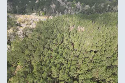 15871 Ridge Oak Road, Willis, TX 77378 - Photo 25