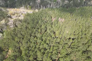 15871 Ridge Oak Rd, Willis, TX 77378 - Photo 25