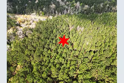 15871 Ridge Oak Road, Willis, TX 77378 - Photo 3