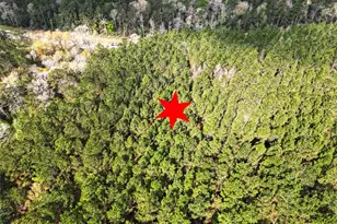 15871 Ridge Oak Rd, Willis, TX 77378 - Photo 3