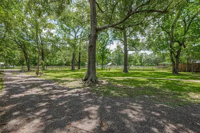 23227 Albert Drive, Porter, TX 77365 - Photo 5