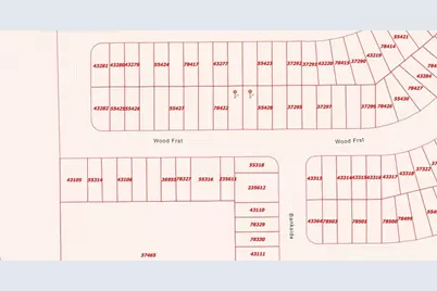 Lots 448, 449 & 450 Wood Forest, Livingston, TX 77351 - Photo 3