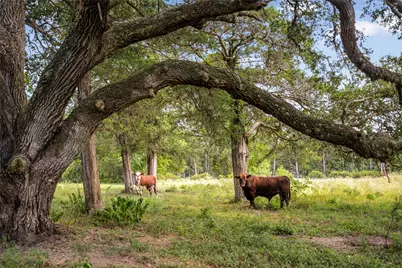 11773 Newberg Road, Cat Spring, TX 78933 - Photo 35