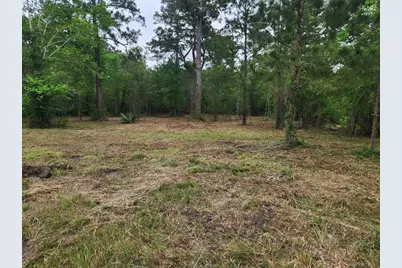 7203 Bayou Timbers Drive, Alvin, TX 77511 - Photo 3