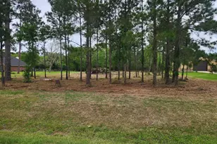 7203 Bayou Timbers Dr, Alvin, TX 77511 - Photo 1