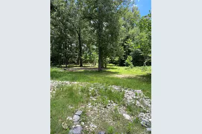 26687 Long Street, Splendora, TX 77372 - Photo 19