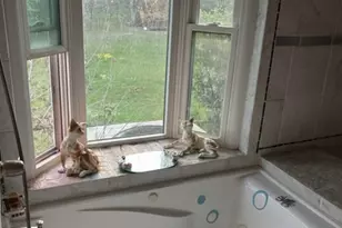 368 Riddle Rd, Cedar Creek, TX 78612 - Photo 15