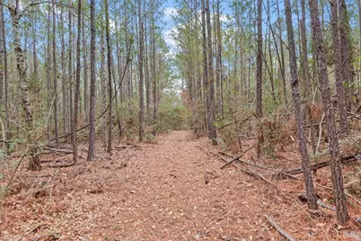 12895 County Road 201, Plantersville, TX 77363 - Photo 13