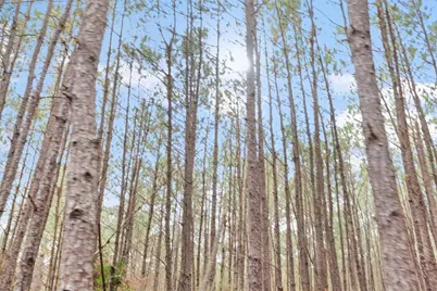 12895 County Road 201, Plantersville, TX 77363 - Photo 21