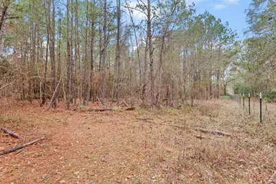 12895 County Road 201, Plantersville, TX 77363 - Photo 33