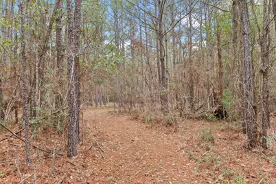 12895 County Road 201, Plantersville, TX 77363 - Photo 19