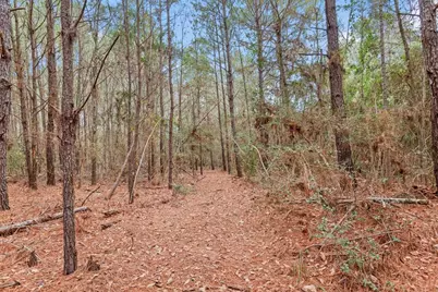 12895 County Road 201, Plantersville, TX 77363 - Photo 23