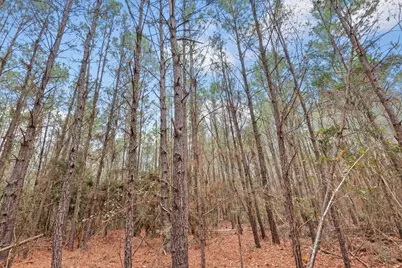 12895 County Road 201, Plantersville, TX 77363 - Photo 17