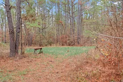 12895 County Road 201, Plantersville, TX 77363 - Photo 9