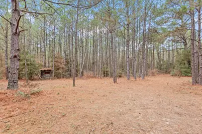 12895 County Road 201, Plantersville, TX 77363 - Photo 31