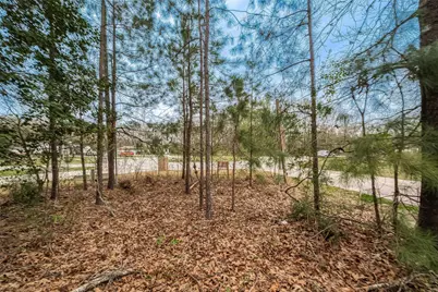 17010 N Saba, Splendora, TX 77372 - Photo 3