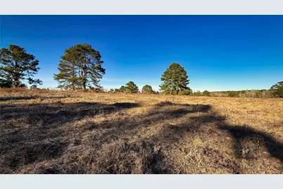 Tbd #10 County Road 477, Henderson, TX 75654 - Photo 7